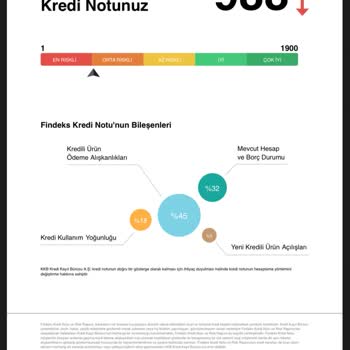 Düzenli Ödemelere Rağmen Findeks Risk Puanım Düşüyor