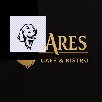 Chatgpt Logo Tasarımında Yaşanan Sorun ve İade Talebi