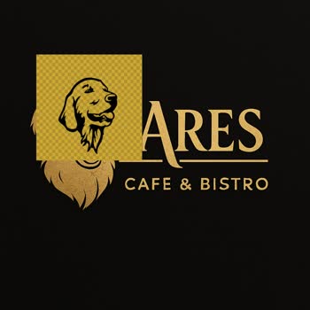 Chatgpt Logo Tasarımında Yaşanan Sorun ve İade Talebi