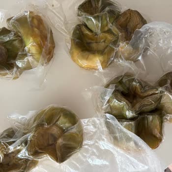 Bozulmuş Ürün, Geç Teslimat Ve Yetersiz Müşteri Hizmeti