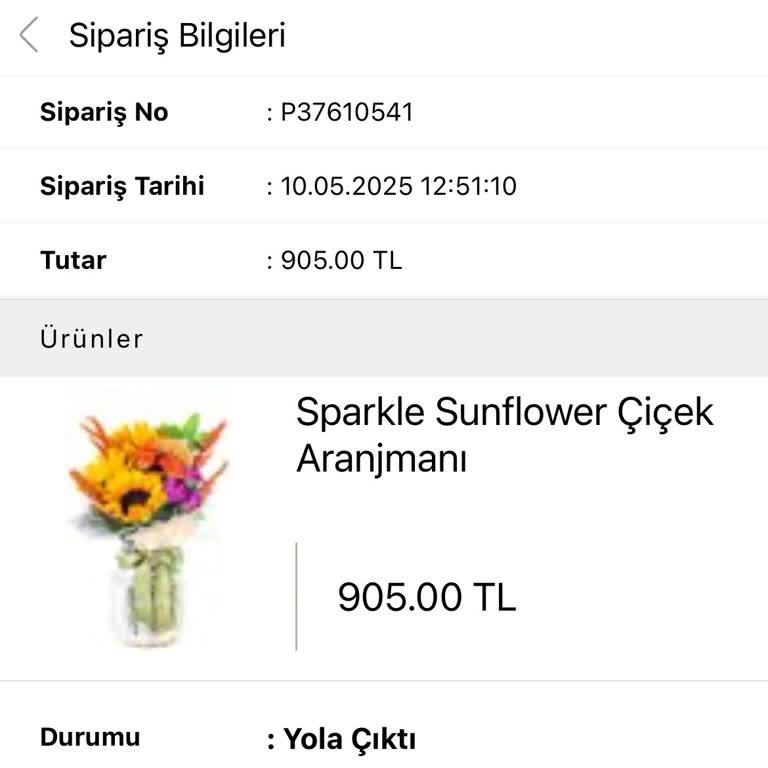 Siparişim Bir Haftadır Teslim Edilmedi, İade Talebim Karşılanmıyor