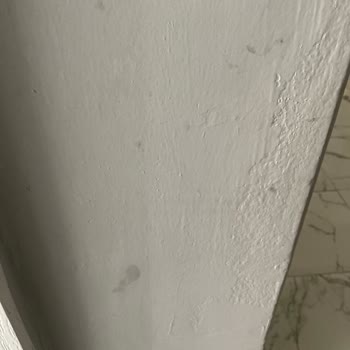 Polisan Boyası Lekeleri Çıkmıyor Ve Tekrar Boyamak Gerekiyor