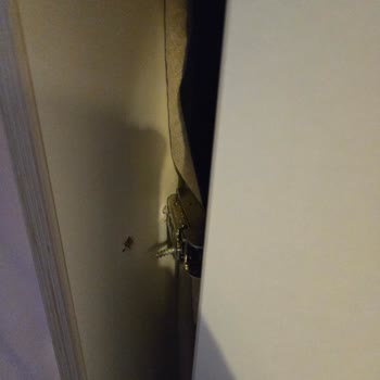 Çocuk Odası Mobilyasında Güvenlik Ve Kalite Hayal Kırıklığı