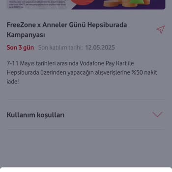 Freezone Kampanyalarından Yararlanamama Ve Müşteri Hizmetleri İlgisizliği