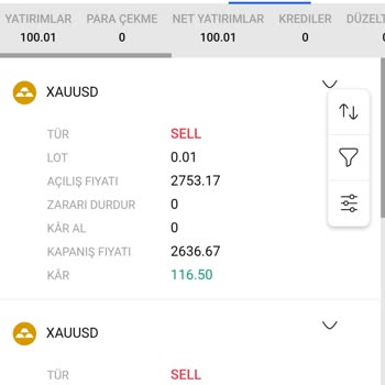 Yatırım Sonrası Hesap Erişimi Ve Para Çekme Sorunu