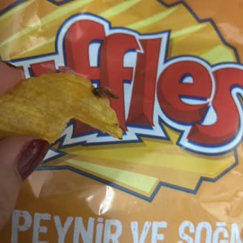 Üründe Yabancı Madde Şoku: Sağlığımız Tehlikede