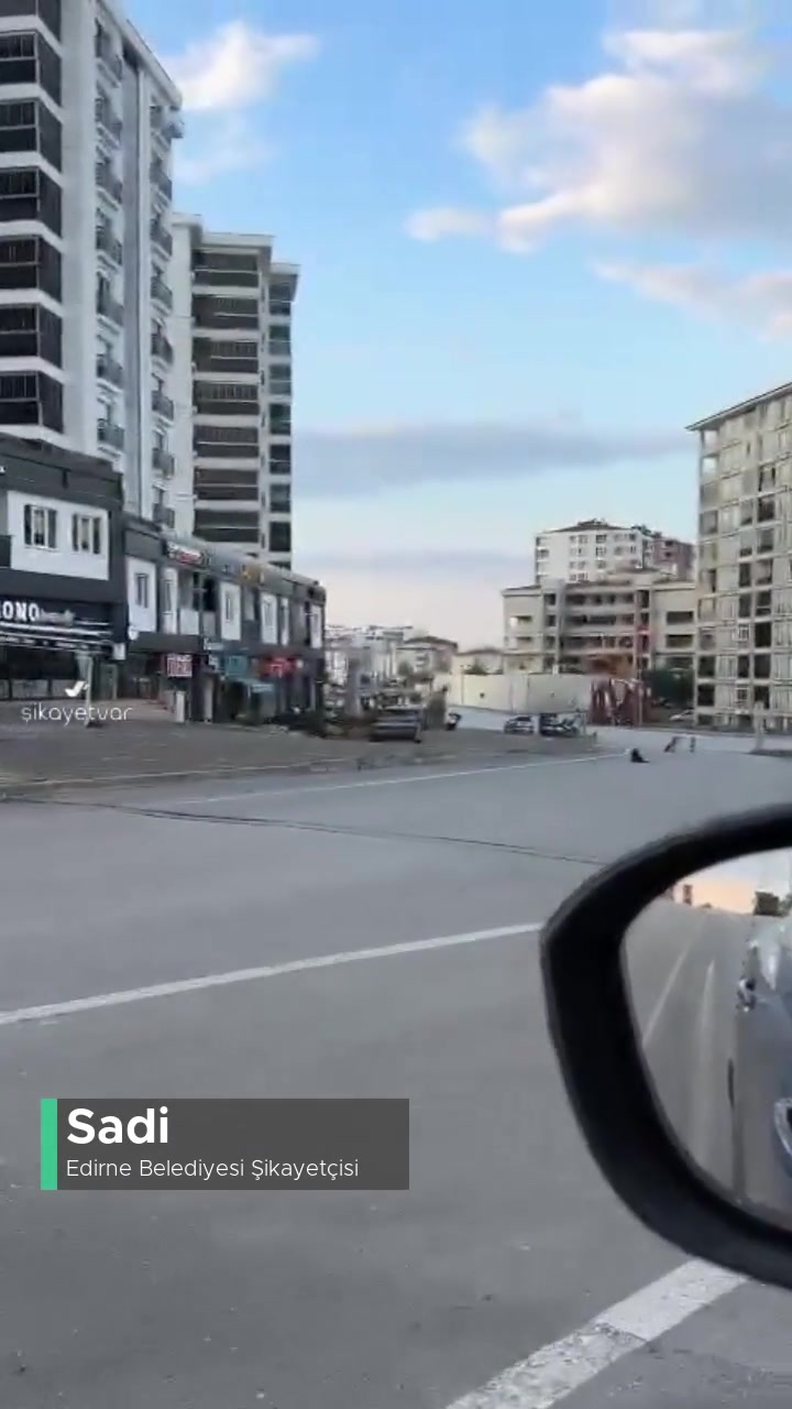 Edirne Başıboş Sokak Köpekleri Ve İlgilenmeyen Yetkililer videonun kapak resmi