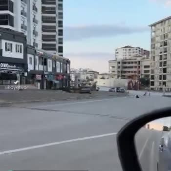 Edirne Başıboş Sokak Köpekleri Ve İlgilenmeyen Yetkililer