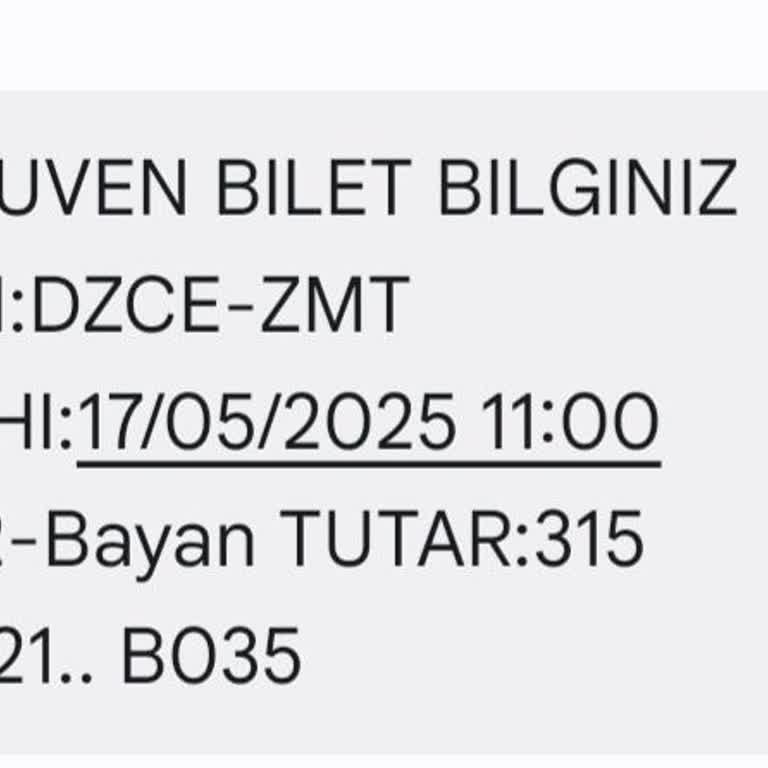 Yanlış Otobüs, Küçük Araç Ve Kötü Yolculuk Deneyimi