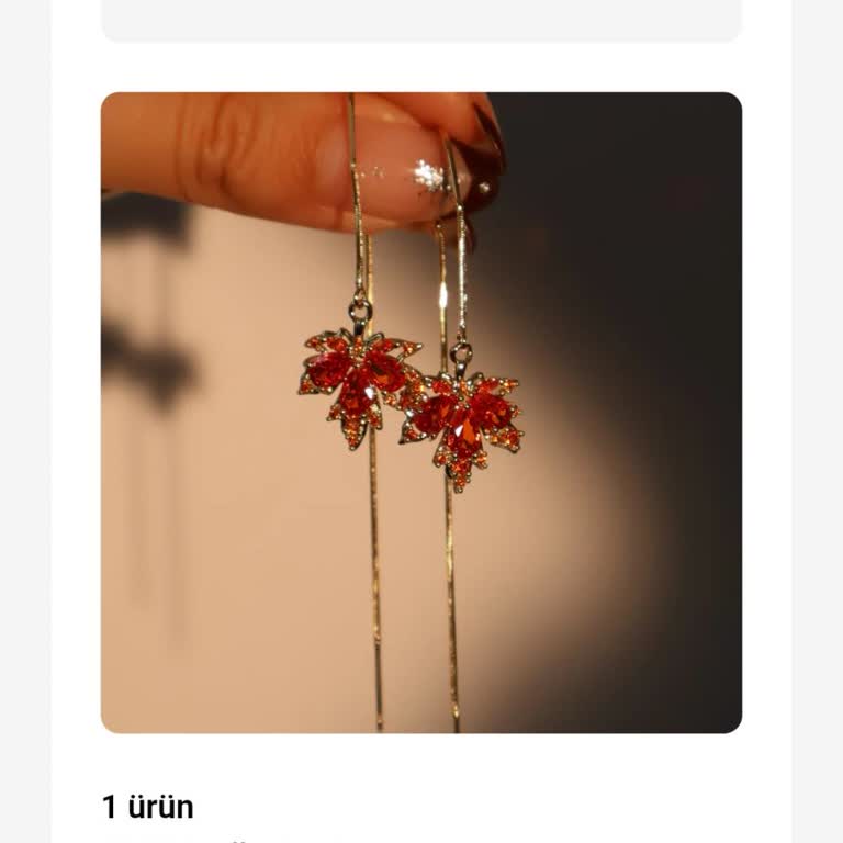 Siparişime Ve Taleplerime Sessiz Kalan Marecci