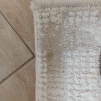 Kardelen Temizlik (Adana) Paramın İadesini Yapmıyor