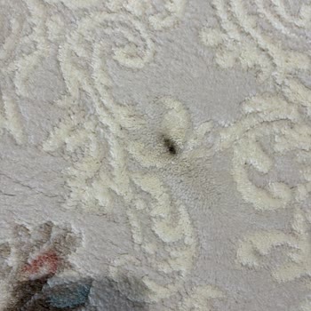 Halı Yıkama Sonrası Lekeler Ve İletişim Sorunu