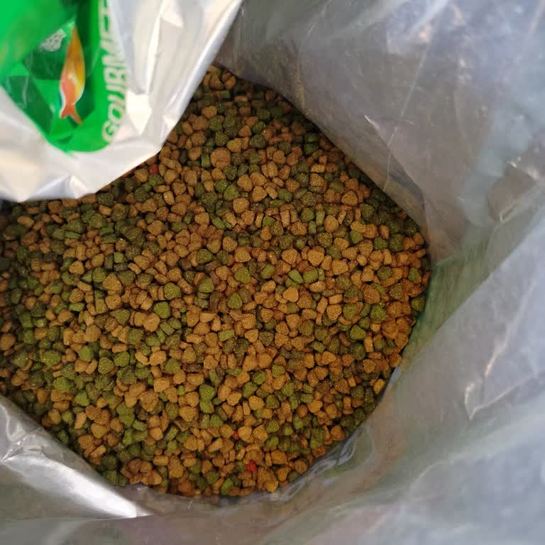 Goody Gourmet Mama Hayal Kırıklığı: Sokak Kedileri Bile Yemiyor!