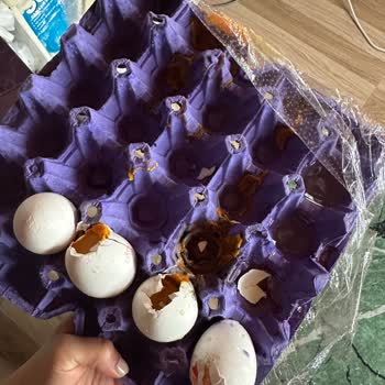 A101'den Aldığım Yumurtalar Kırık Ve Bozulmuş Çıktı