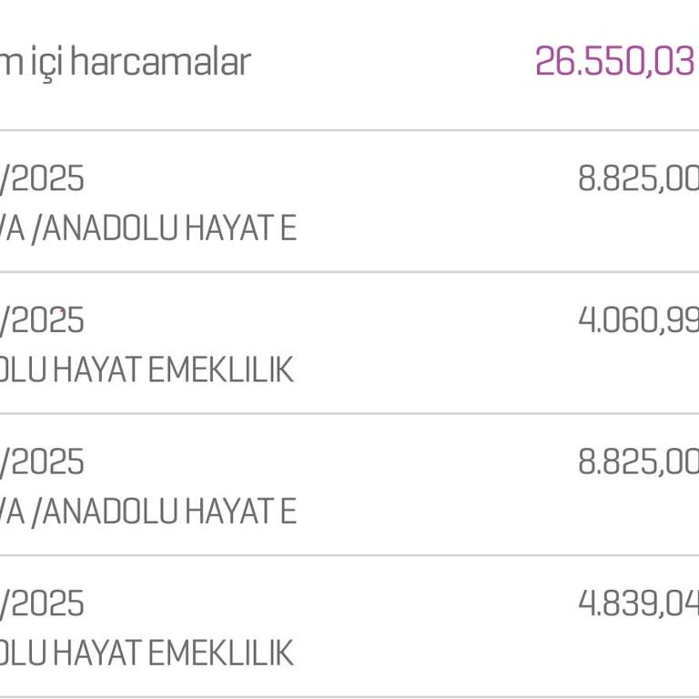 BES Otomatik Talimattan İki Kez Ödeme Çekilmesi Ve Güven Sorunu