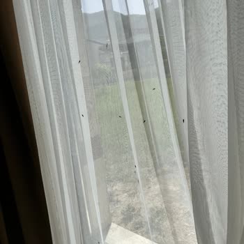 Yüksek Aidatlara Rağmen Hizmet Eksikliği Ve Temizlik Sorunu