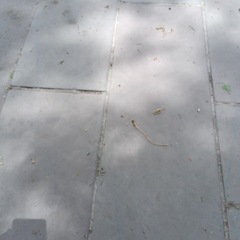 Kartım Teslim Edilmeden Geri Gönderildi, Ulaşamıyorum