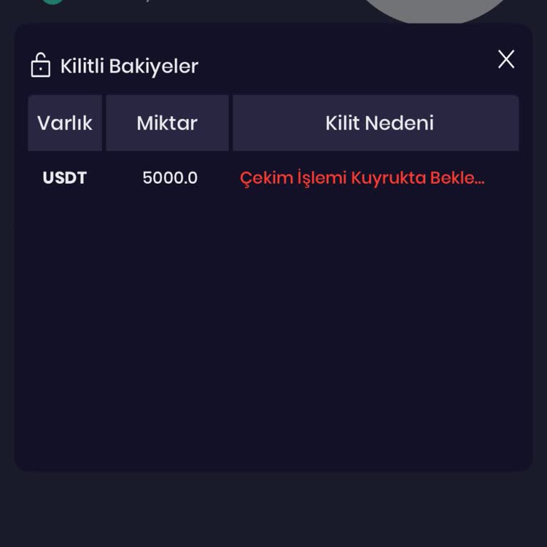 Fexobit Hesabım İncelemeye Alındı, Mağduriyetim Giderilmiyor