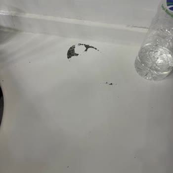 Bianca Boya Stella Boya Ve Cila Sonrası Tezgahımda Soyulmalar Oluştu