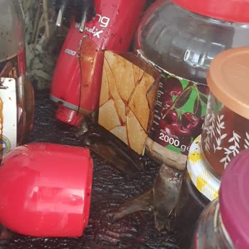 Beyorganik Atom Cam Şişe Dolapta Patladı Evde Korku Ve Tehlike Yaşadık