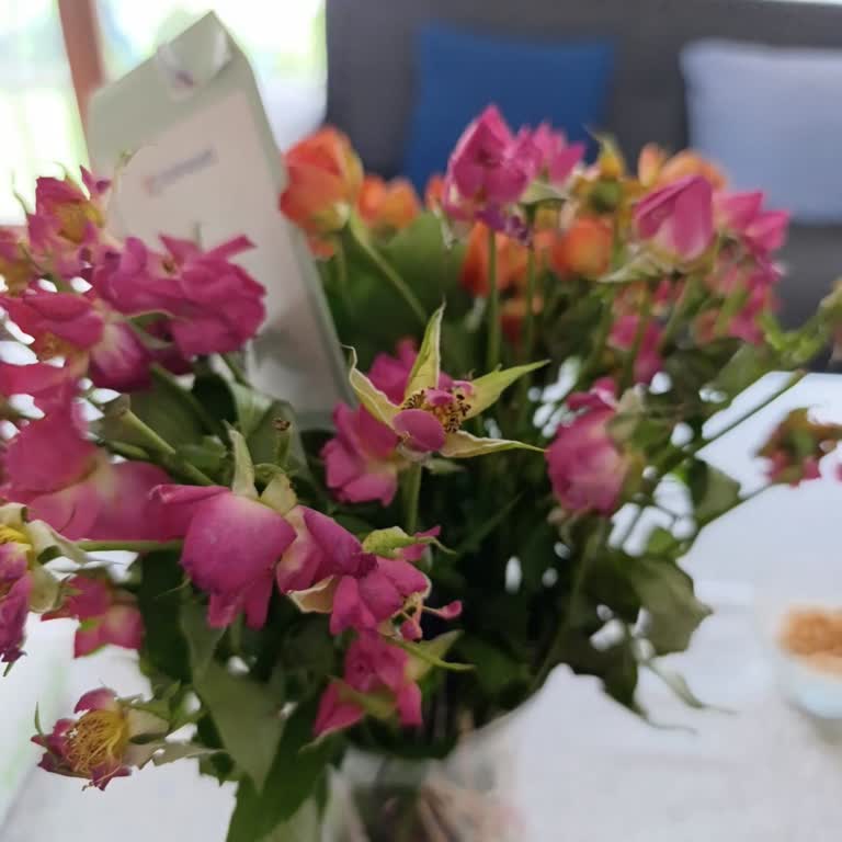 Anneler Günü İçin Gönderilen Solmuş Güller Ve Yetersiz Müşteri Hizmeti