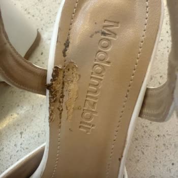 Bir Günde Zarar Gören Ayakkabı Mağduriyeti