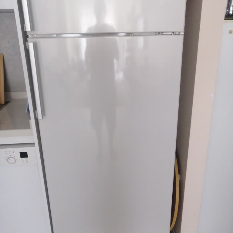 Bosch Buzdolabında Sürekli Alarm Sorunu Ve Ücretsiz Çözüm Talebi