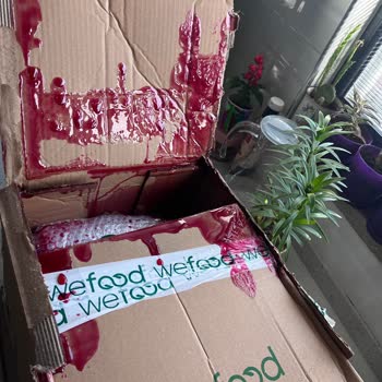 Kargo Hasarlı Geldi, İade Taleplerim Reddedildi