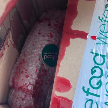 Kargo Hasarlı Geldi, İade Taleplerim Reddedildi