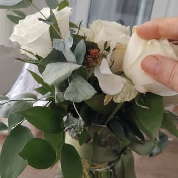 Anneler Günü Çiçeği Solmuş Ve Yaprakları Dökülmüş Geldi