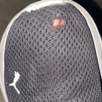 Puma Ayakkabıda Kısa Sürede Yaşanan Soruna Mağaza İlgisizliği