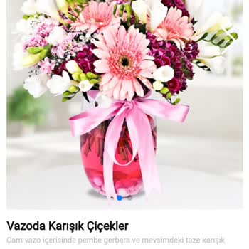 Soluk Ve Özensiz Çiçekler, İletişimde Büyük Sıkıntı