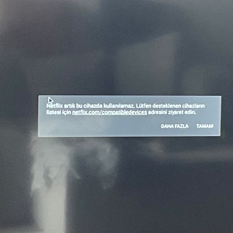 Dijitsu Televizyonumda Netflix Desteği 1 Yıl Sonra Kaldırıldı