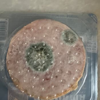 Son Kullanma Tarihi Geçmemiş Ürün Küflü Çıktı