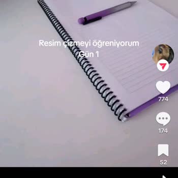 TikTok'ta Cumhurbaşkanına Hakaret Eden Hesabın Kapatılmasını Talep Ediyorum