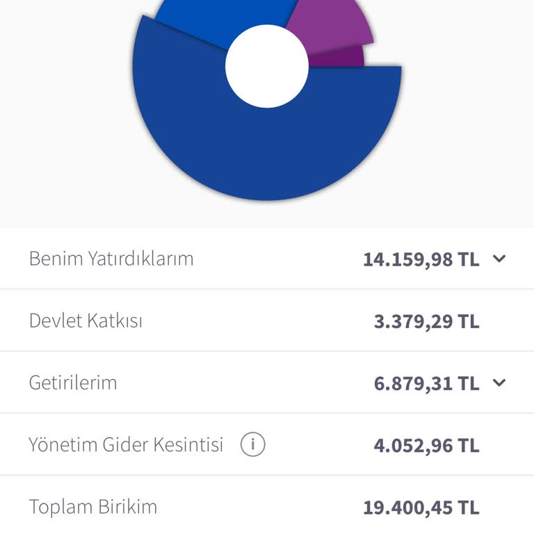 Emeklilik Fonunda Sürekli Zarar Ve Beklenmeyen Kesintiler