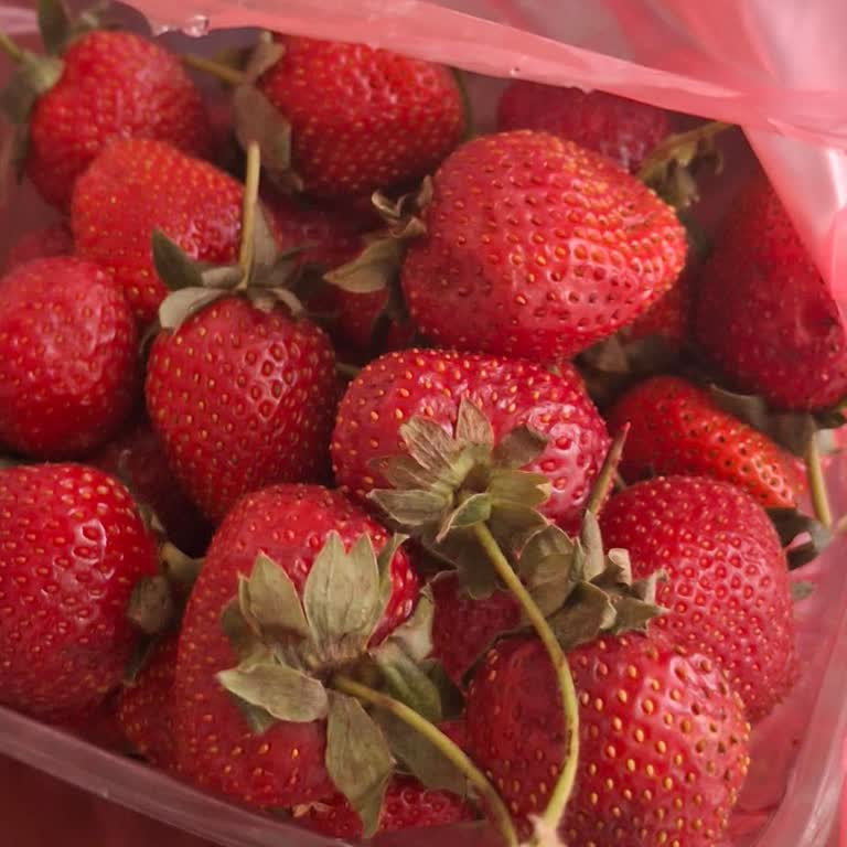 Pazarlarda Ürün Seçimine Ve Denetimsizliğe Tepki