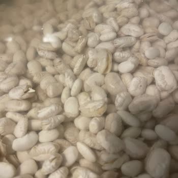 Reis Dermason Kuru Fasulye Pişirme Sorunu Ve Ürün Kalitesi Hakkında Şikayet