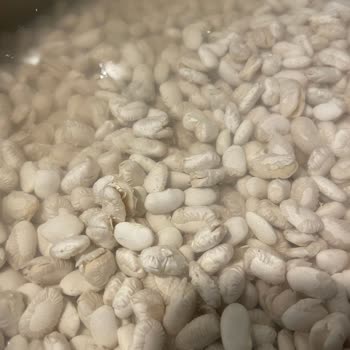 Reis Dermason Kuru Fasulye Pişirme Sorunu Ve Ürün Kalitesi Hakkında Şikayet