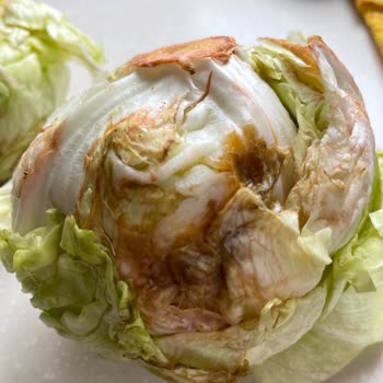 Ayıplı Ve Çürük Salata Gönderimi: Müşteri Memnuniyetsizliği