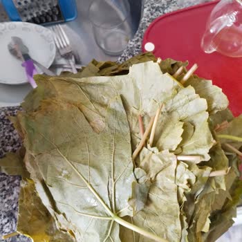 Sipariş Edilen Yaprakların Beklentiyi Karşılamaması