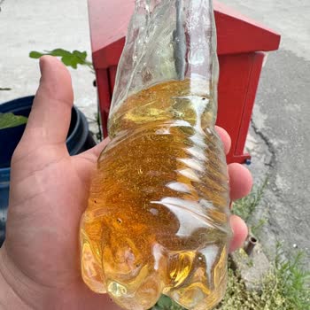 Aldığım Epoksi Bozuk Çıktı, Kullanamadan Çöpe Gitti