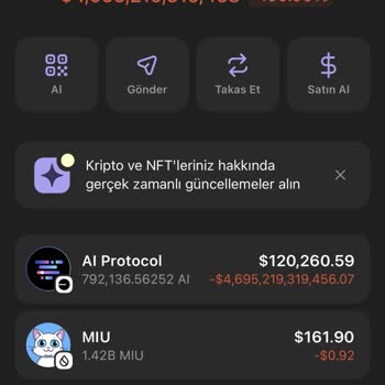 Coin Satışında Karşılaşılan Takas Ve Likidite Sorunları