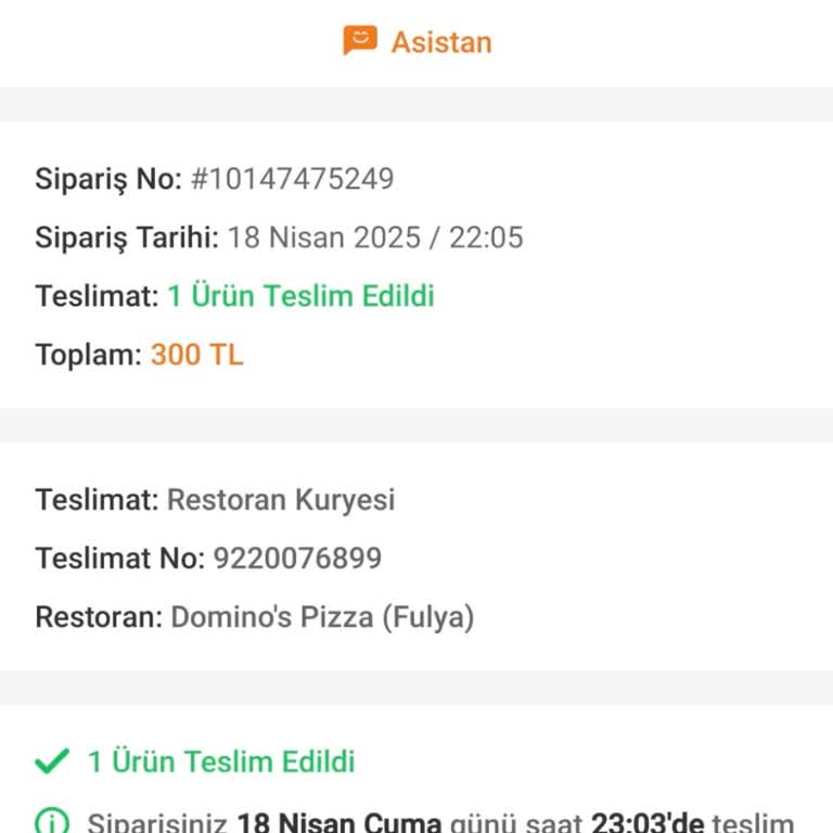 Yüksek Fiyatlı Pizza Siparişimde Malzeme Ve Lezzet Eksikliği Yaşadım