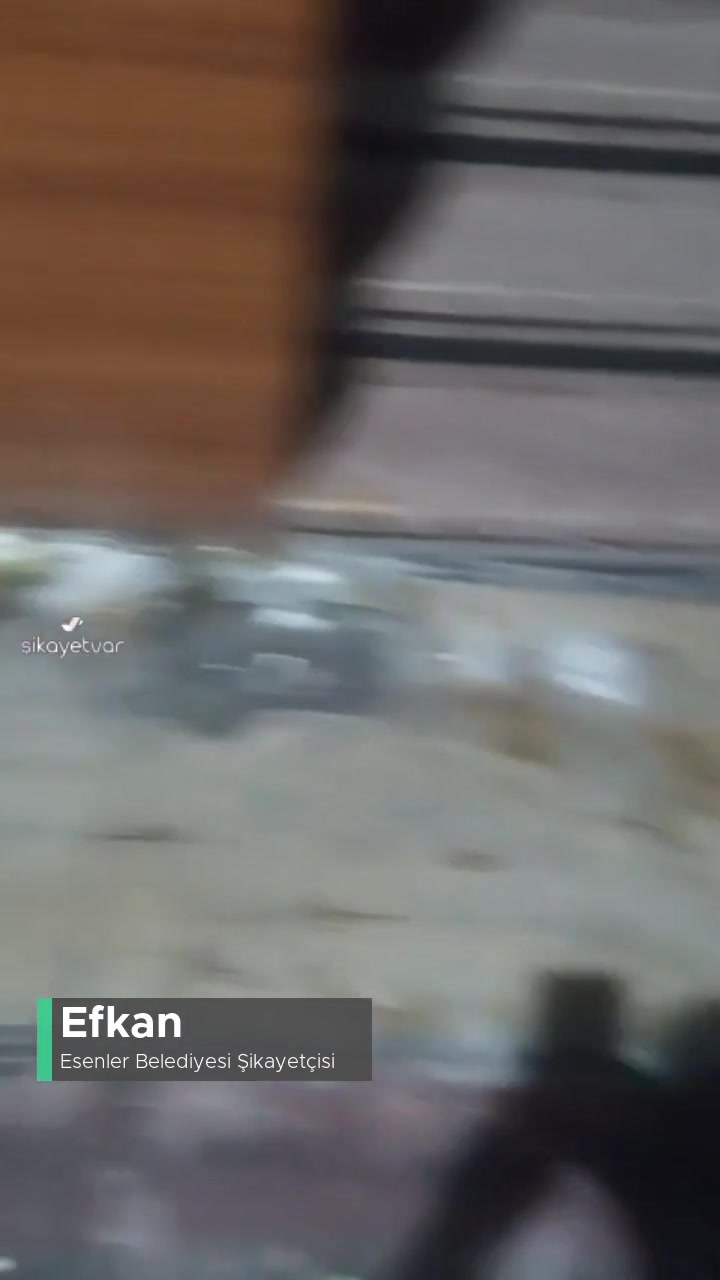 Esenler Belediyesi Yan Tarafımızda Salyangoz İstilası videonun kapak resmi