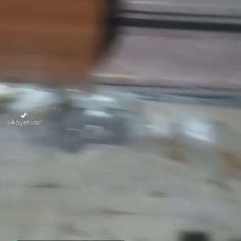 Esenler Belediyesi Yan Tarafımızda Salyangoz İstilası