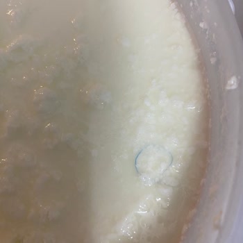 Sütaş Yoğurdun İçinden Saç Lastiği Çıkması Ve Hijyen Sorunu