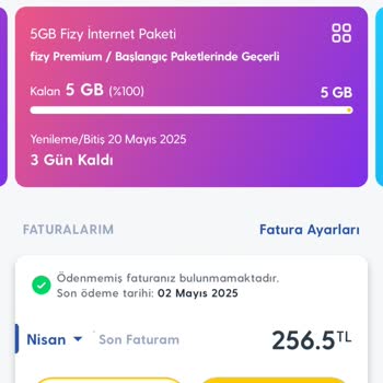 Yetersiz İnternet Ve Destek, Kullanılmayan Paketler, Yüksek Cayma Bedeli