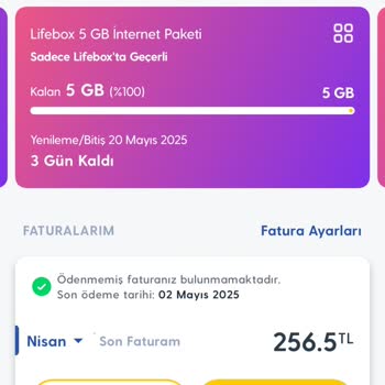 Yetersiz İnternet Ve Destek, Kullanılmayan Paketler, Yüksek Cayma Bedeli