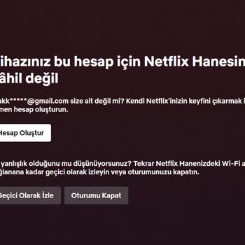 Netflix'te Hesap Güvenliği Önlemleri Kullanıcı Deneyimini Olumsuz Etkiliyor